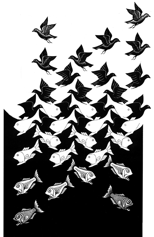 mc escher drawing of fish and birds